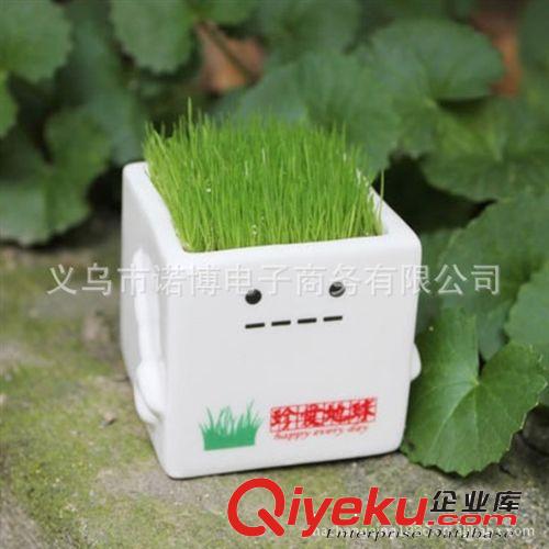 地球之子系列栽培 創意迷你桌面植物 易養迷你盆景批發原始圖片3