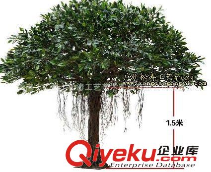 仿真可可樹 仿真植物樹 仿真蘋果樹  仿真茉莉花樹原始圖片3