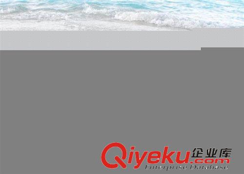 歐式精美樹脂家居吉祥長壽龜貼玻璃擺件 動物海龜工藝品裝飾擺飾原始圖片2