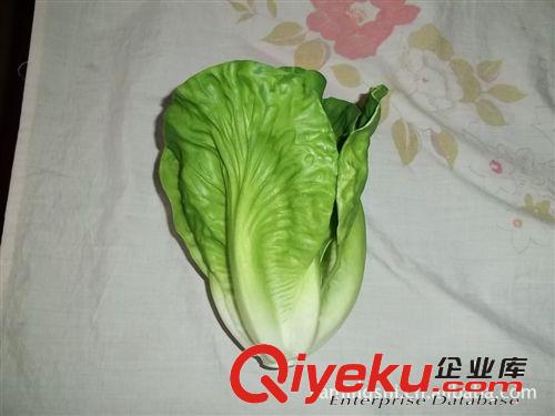 gf真食品模型  優(yōu)質(zhì)仿真蔬菜模型   食品模型定制原始圖片2