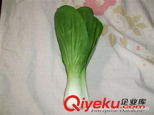 gf真食品模型  優(yōu)質(zhì)仿真蔬菜模型   食品模型定制原始圖片3