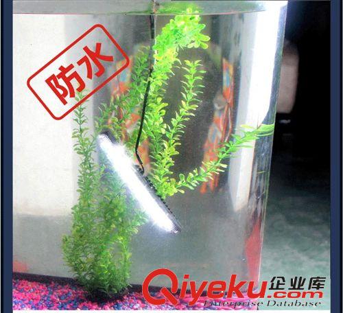 小魚叉帶黃LED日行燈 日間行車燈大功率日行燈 遠(yuǎn)近光LED日行燈原始圖片3