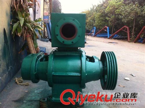 廠家供應 造紙機械專用不銹鋼手動耐磨羅茨真空泵原始圖片2