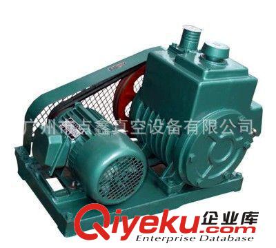 廠家熱銷博山小型泵業真空機組 汽車兩用真空泵原始圖片2