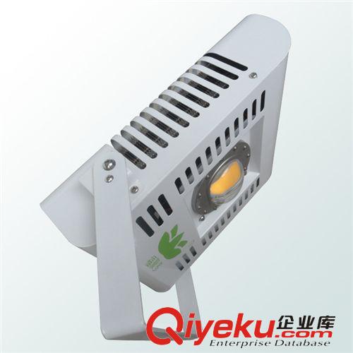 廠家低價批發(fā)8米高桿燈 100WLED高桿燈 IP65防水戶外廣場照明原始圖片3