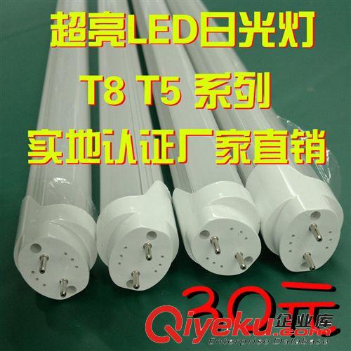 LED燈管 廠價(jià)直銷 T8 0.6米 tj30元 LED日光燈批發(fā)