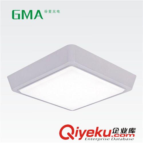 12W方形LED吸頂燈 室內(nèi)照明燈具 吸頂燈批發(fā) LED12W吸頂燈