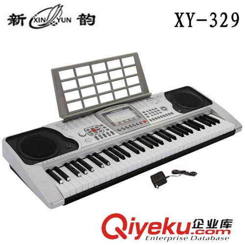 zp新韻電子琴XY-329 帶U盤MP3插口 仿鋼琴61鍵 標準鍵批發(fā)廠家原始圖片2