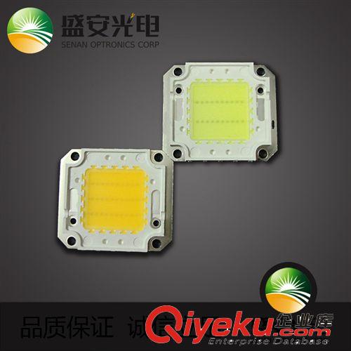 LED集成光源30w 50W 高光效 低價格 高功率 質保2年