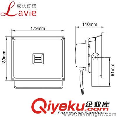 LED集成COB投光燈 20W