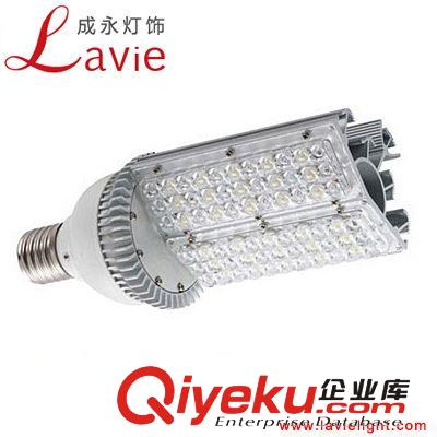 大功率 LED路燈66W