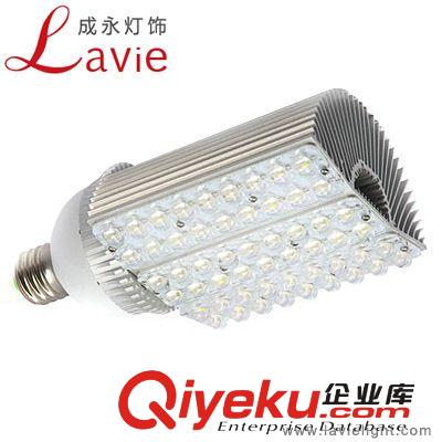 大功率 LED路燈60-70W