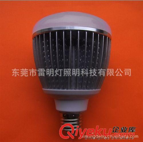 厂家直销LED户外装饰灯 LED室内灯R90E27-140.110V24015W