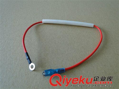 【zp】家用電子元器件 廠家直銷洛貝電壓力鍋配件 熔斷器 WT/DT原始圖片2
