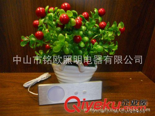 zp出口認(rèn)證櫥柜燈 衣柜感應(yīng)燈 門碰感應(yīng)衣柜燈原始圖片3