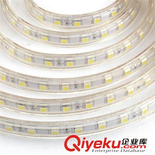 LED5050貼片燈帶  220V高壓燈帶 單色/七彩戶外 暗槽燈帶原始圖片3