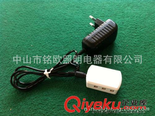 供应12V 12W 1A恒压灯具电源 直插式欧规电源