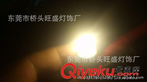 旺盛供應 1W   1.5W大功率 G4LED家用裝飾燈 柜臺展示燈原始圖片3