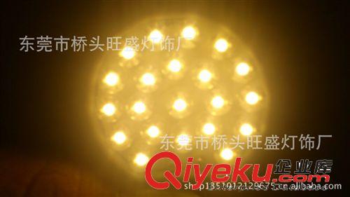 旺盛 供應LED節能燈 LED汽車燈  G4-21SMD  G9 E14  E27原始圖片3