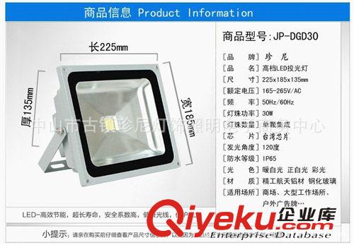 廠家直銷 鹵素集成投光燈/高品質投光燈 室內(nèi)投光燈原始圖片2
