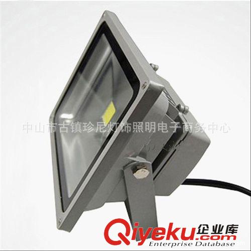廠家直銷 鹵素集成投光燈/高品質投光燈 室內(nèi)投光燈