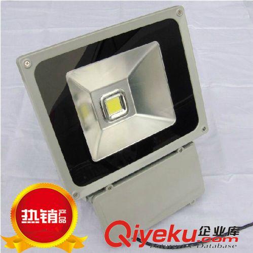 廠家直銷(xiāo) 100W 鹵素集成投光燈/高品質(zhì)投光燈 室內(nèi)投光燈