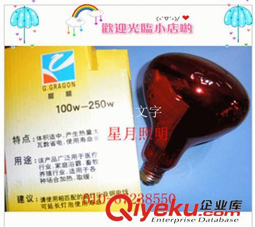 晨龍 紅外線理療燈泡美容美發(fā)專用燈 保健燈泡150W 275W原始圖片2