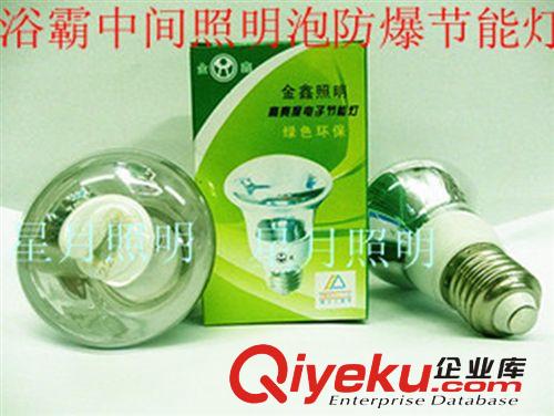 滅蚊燈 名爵爾滅蚊燈20W 30w 40W 電擊滅蚊器光觸媒滅蚊燈 zp