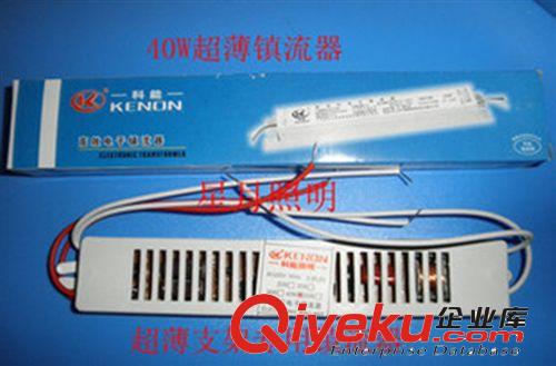 zp 科能10W 21W 38w 55W 2D燈管  蝴蝶形管四針燈管 白光 黃光