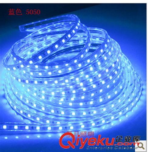 LED 220V5050燈帶 高亮度 防水60珠貼片LED軟燈帶 有3528原始圖片2