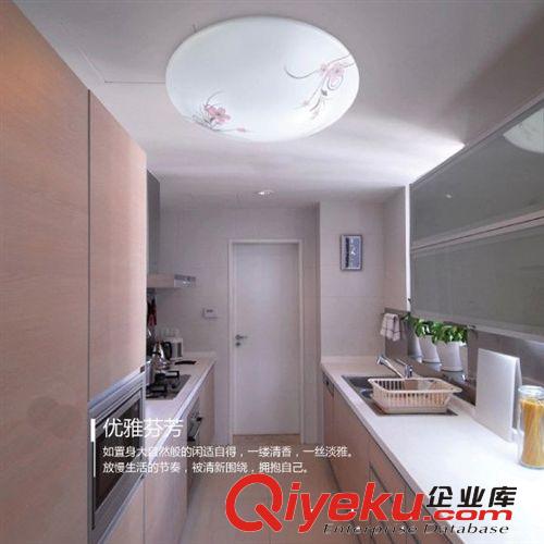 【信能燈飾】廠家直銷 現代時尚亞克力臥室客房圓形吸頂燈客廳燈原始圖片3
