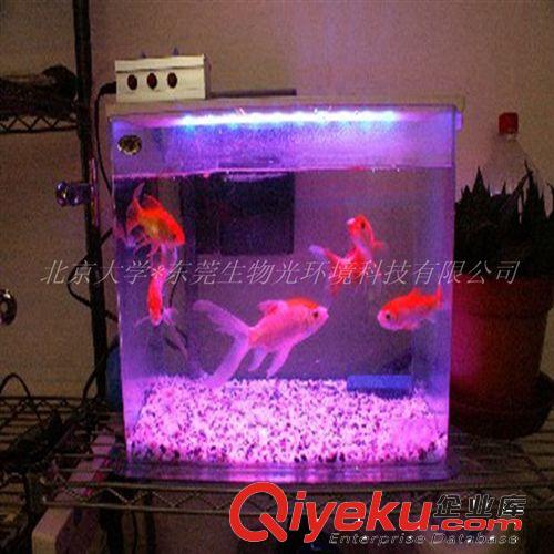 廣東廠家直銷led魚缸/水族/觀賞燈節能環保北大專屬