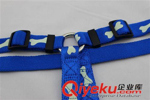 東莞廠家 尼龍夜光工字背帶 金毛 泰迪 OEM單 品質(zhì)保證原始圖片2