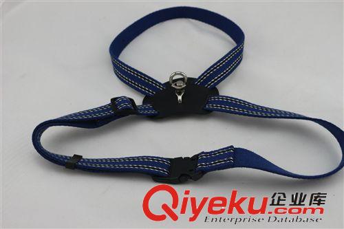 東莞廠家供應(yīng)滌綸狗項(xiàng)圈 狗背帶 OEM單 量大價(jià)優(yōu)  外貿(mào)出口原始圖片3