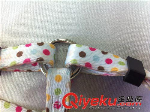 廠家專(zhuān)業(yè)批發(fā) 圓點(diǎn)熱轉(zhuǎn)印貓胸帶 外貿(mào)訂單 安全環(huán)保 交期快原始圖片2