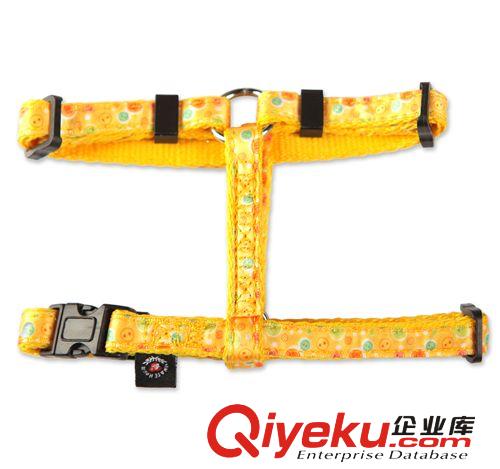 廠家專業(yè)生產(chǎn)  貓貓牽引 貓牽引繩 OEM訂單 量大價(jià)優(yōu)原始圖片2