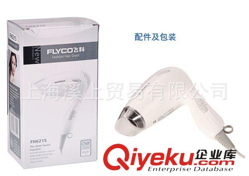 飛科電吹風 FH6215 吹風機 吹風筒 折疊 zp