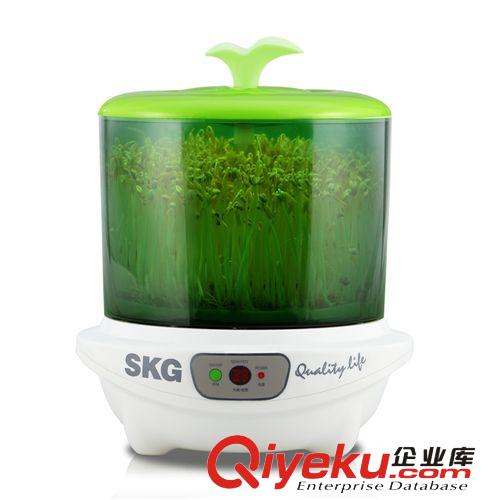 SKG3003 家用全智能豆芽机 全自动 绿色无公害 有益健康