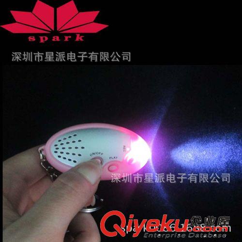 供應(yīng)錄音10秒功能鑰匙扣 暢銷國(guó)外 學(xué)生紀(jì)念品原始圖片2