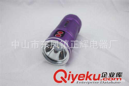 批發(fā)正輝電器168智能電量顯示藍(lán)光夜釣燈 釣魚燈 垂釣燈