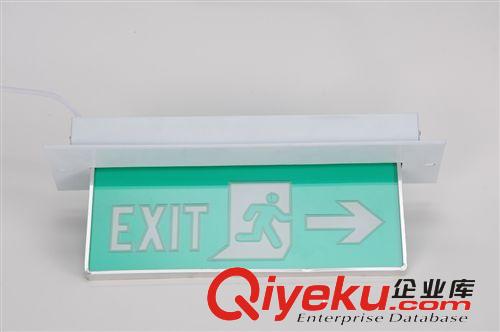 智能系統(tǒng)消防標(biāo)志應(yīng)急燈 消防標(biāo)志指示燈