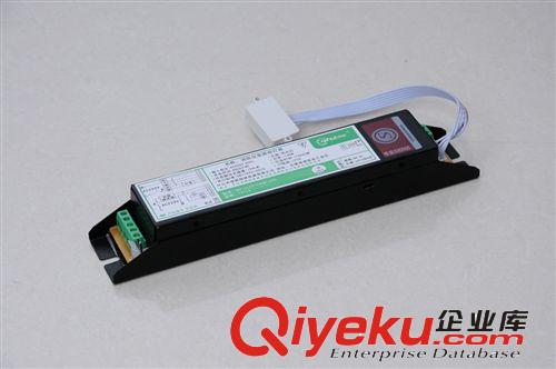 專業生產應急電源,一體化應急電源,節能燈應急電源，原始圖片2