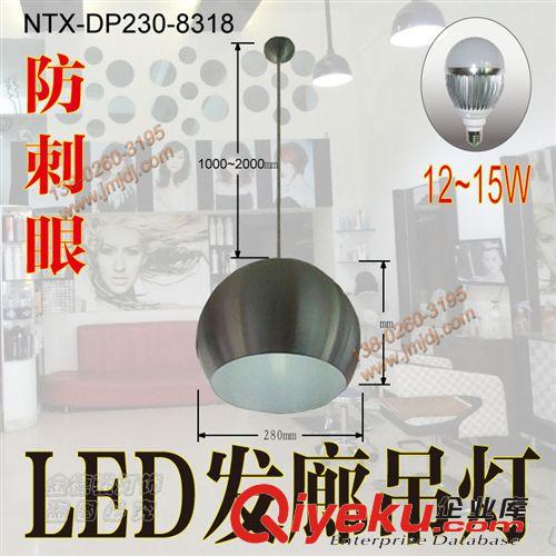 德宏服裝店時裝店吊燈,麗江LED發廊裝修燈飾原始圖片2