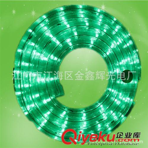 LED彩虹管圓二線燈帶 220V 110V 廠家直銷36珠 30珠