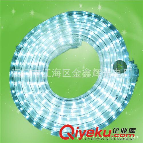 LED彩虹管圓二線燈帶 220V 110V 廠家直銷36珠 30珠