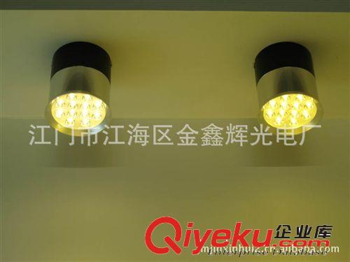 本廠專業(yè)生產(chǎn)LED明裝燈 LED酒店家居工程用燈具 LED neon light