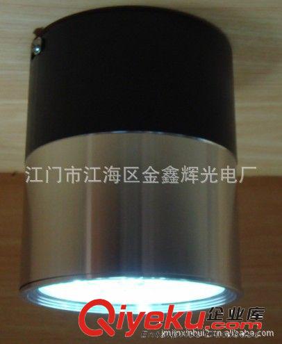 本廠專業生產LED明裝燈 LED酒店家居工程用燈具 LED neon light原始圖片2