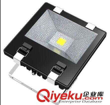 高品質(zhì)LED集成投光燈120W，新款熱銷120W鰭片投光燈原始圖片2