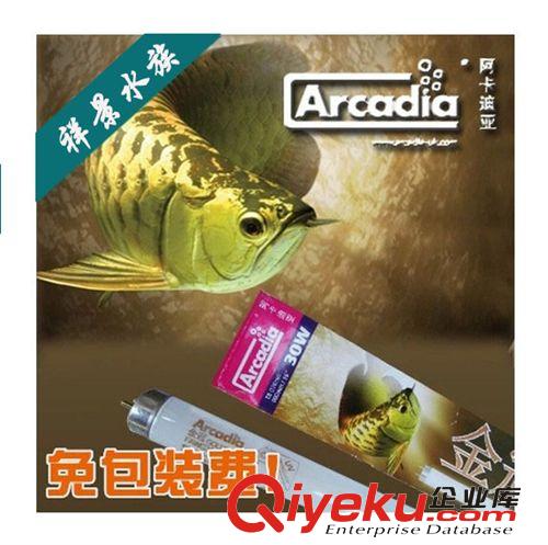 閩江 防爆加熱棒MJ-300w自動控溫加熱棒 魚缸水族器材
