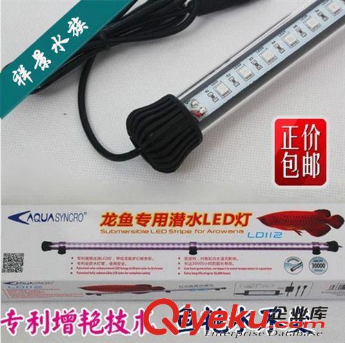 『祥景水族』英國 阿卡迪亞 過背金龍專用燈管 金冠燈管 30W/36W